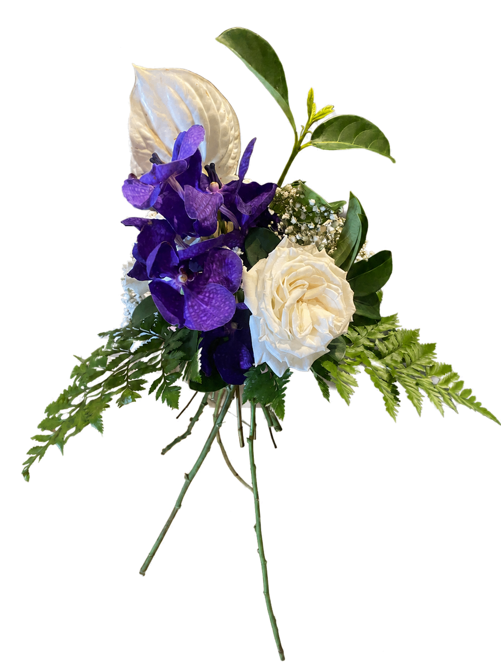 Test