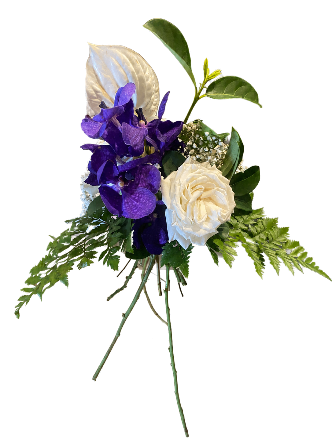 Test